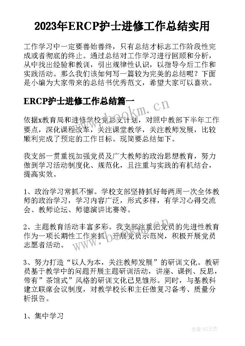 2023年ERCP护士进修工作总结实用