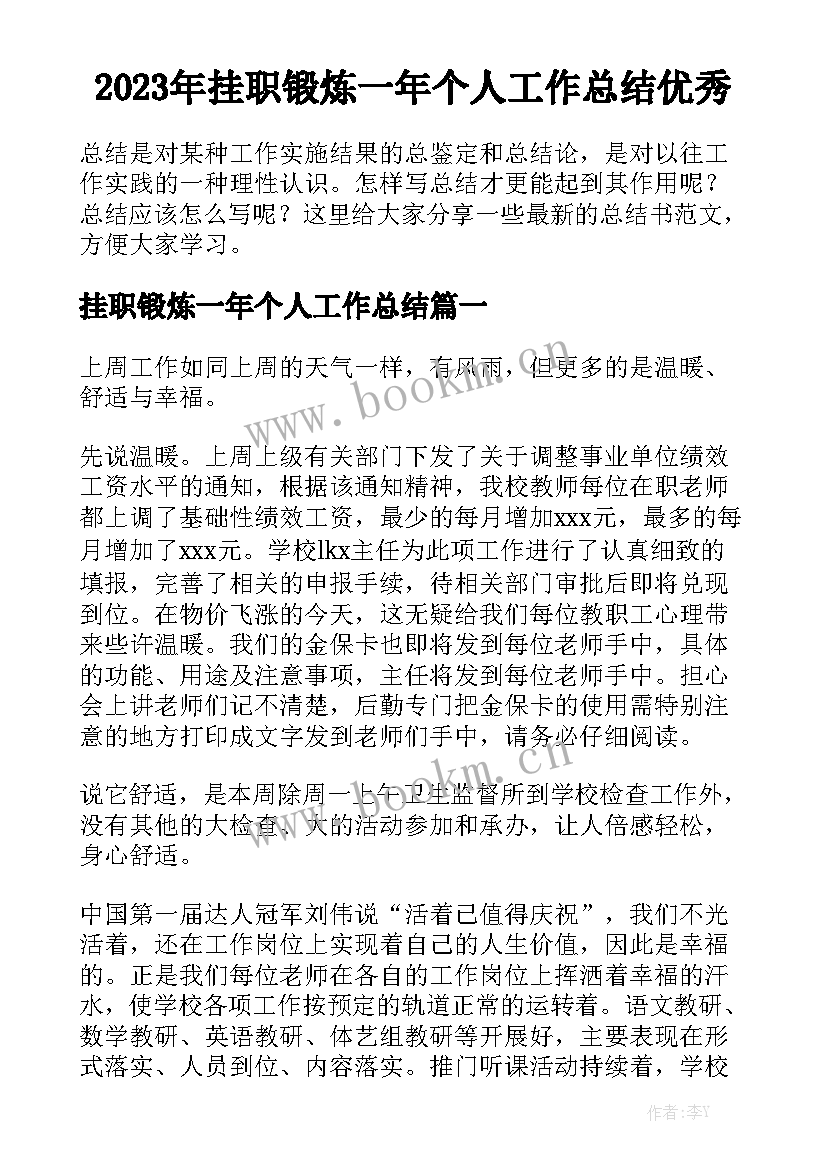 2023年挂职锻炼一年个人工作总结优秀