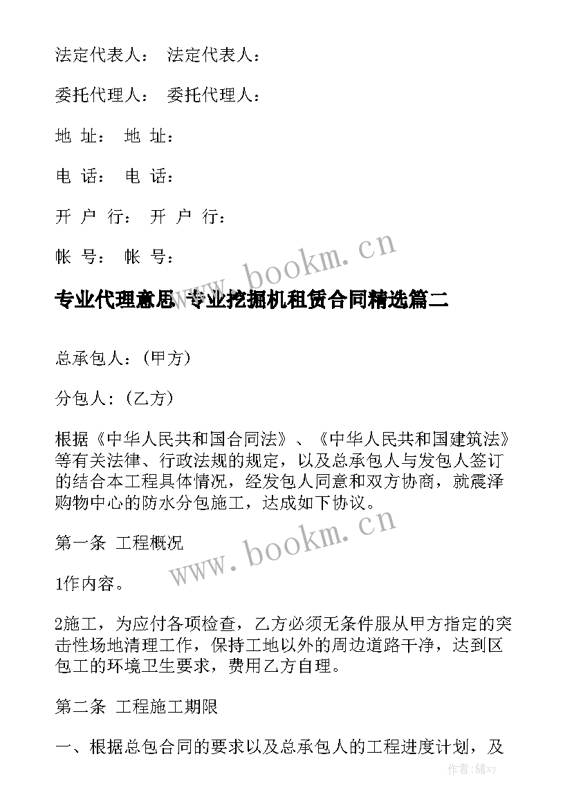 专业代理意思 专业挖掘机租赁合同精选