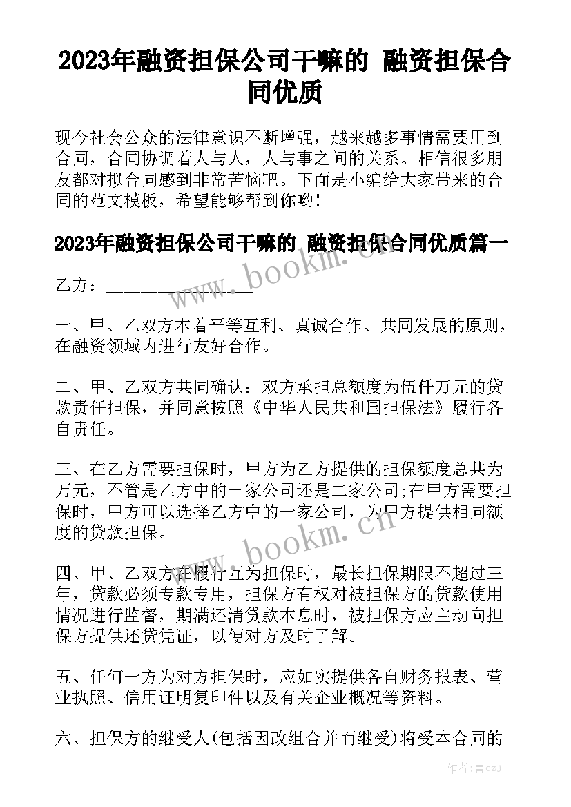 2023年融资担保公司干嘛的 融资担保合同优质