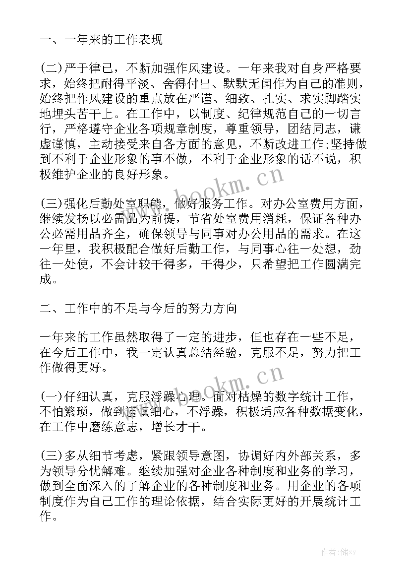 统计员年度工作总结个人