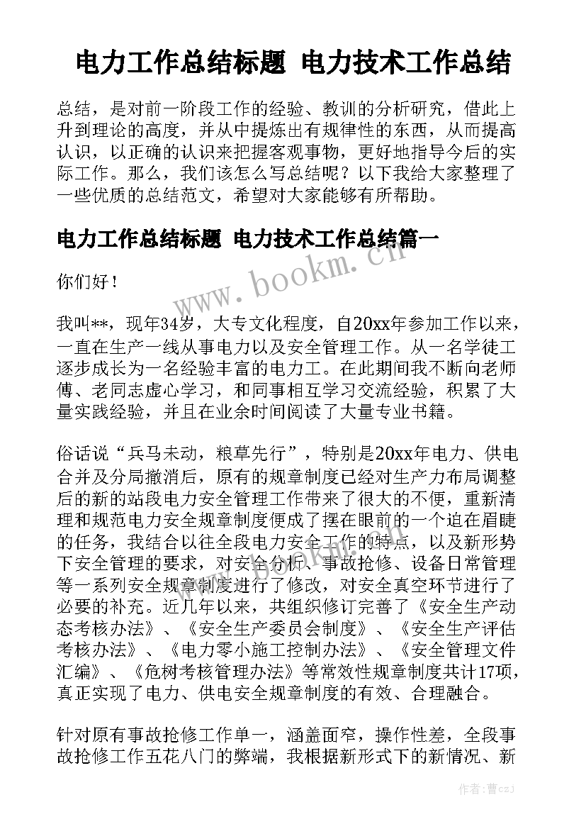 电力工作总结标题 电力技术工作总结