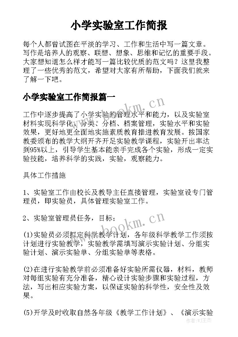 小学实验室工作简报