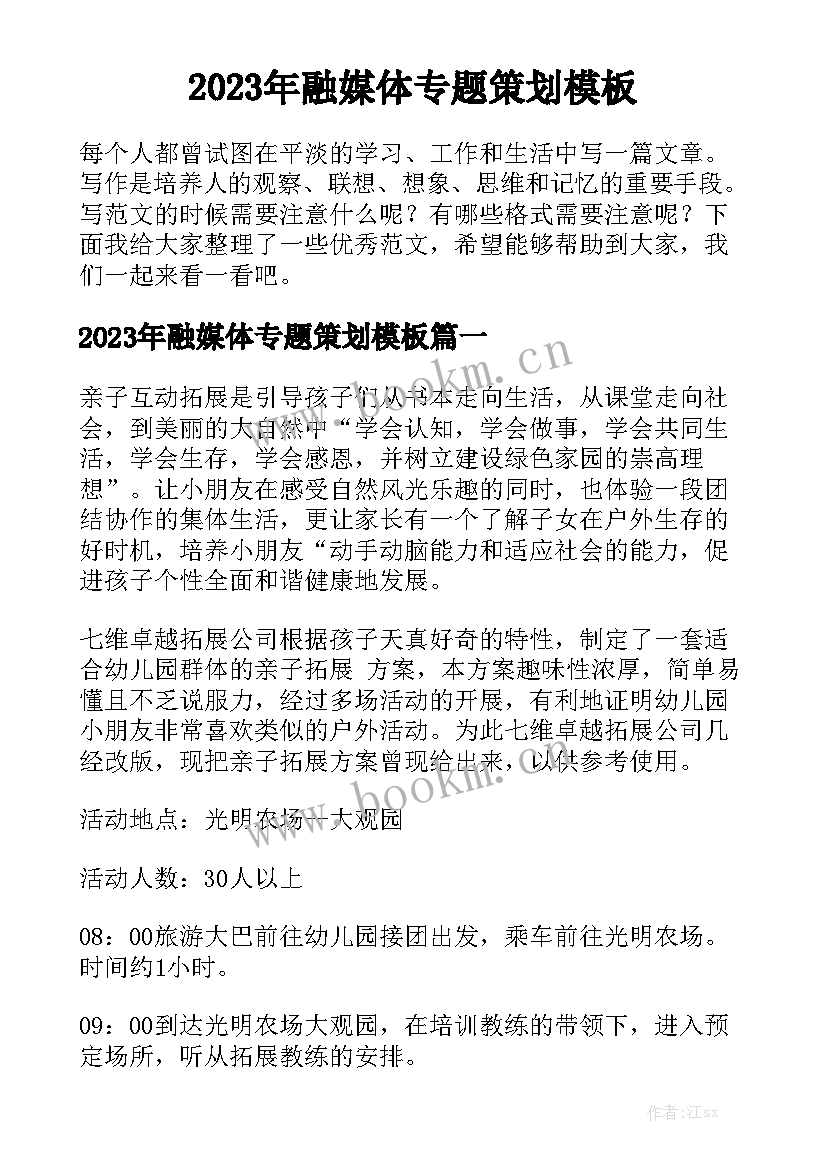 2023年融媒体专题策划模板