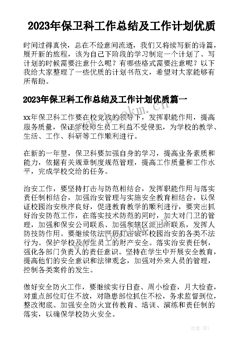 2023年保卫科工作总结及工作计划优质