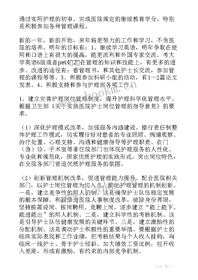 牙科护士个人工作计划表