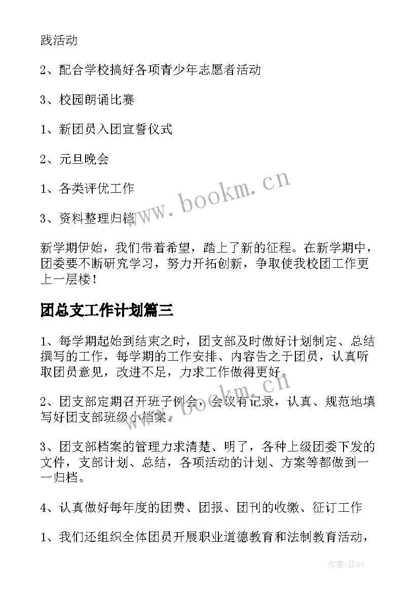 团总支工作计划