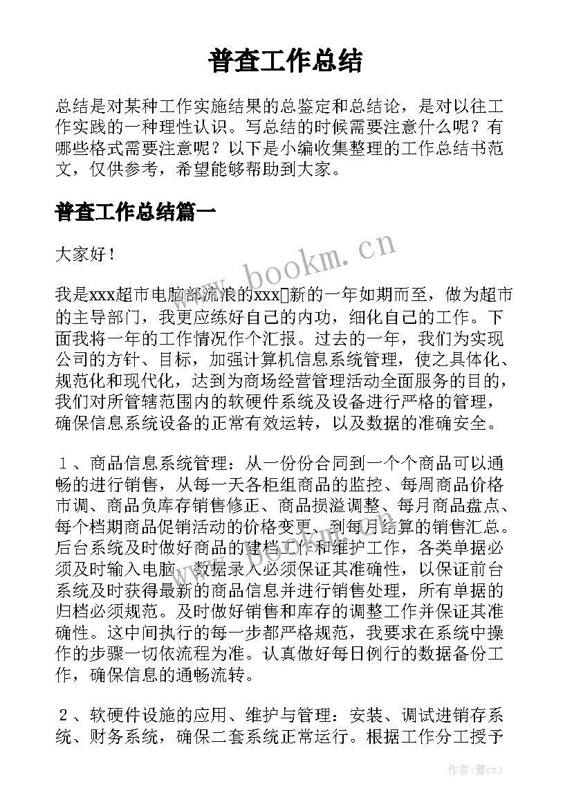 普查工作总结