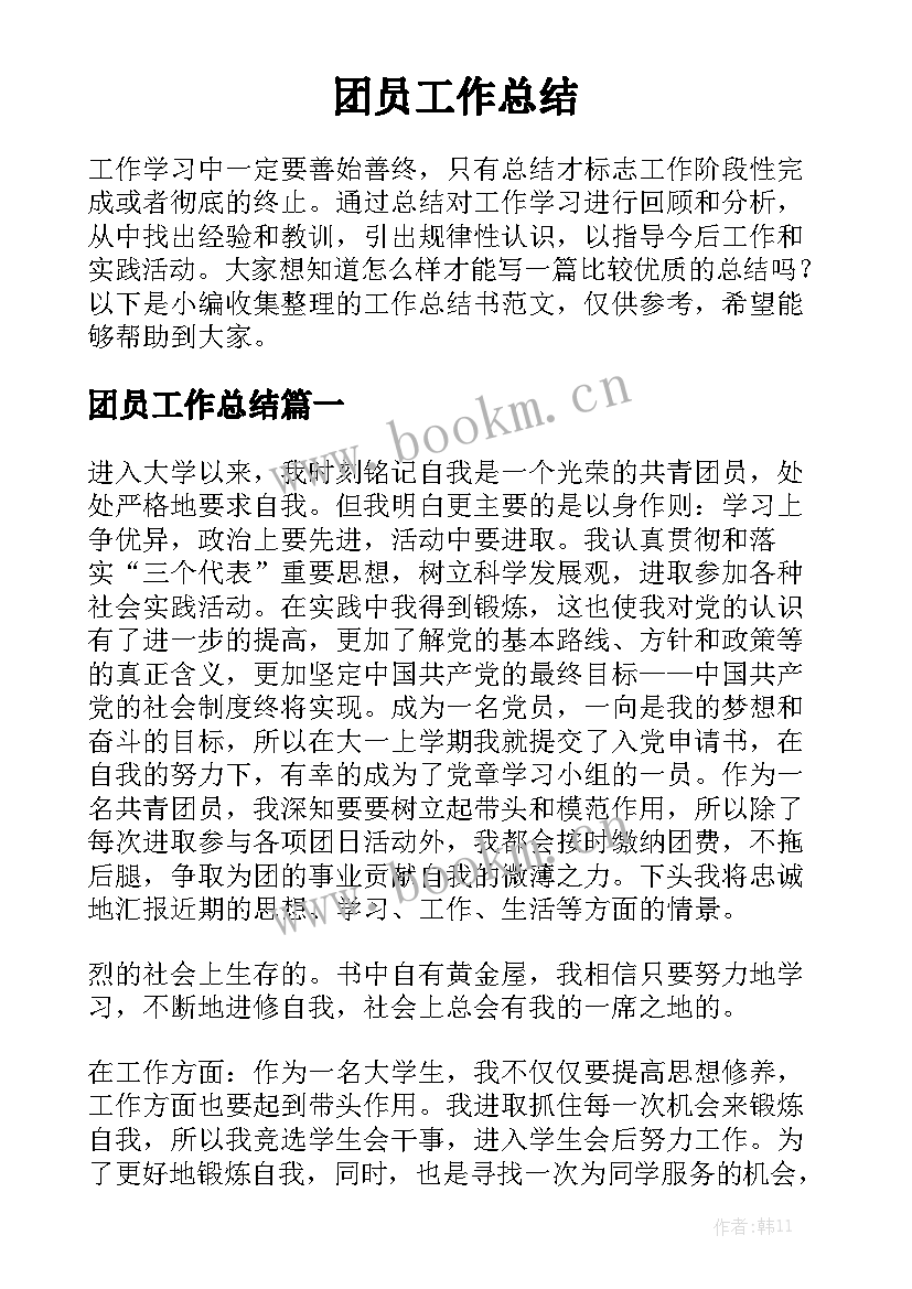 团员工作总结