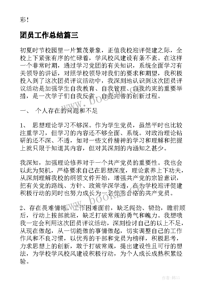 团员工作总结