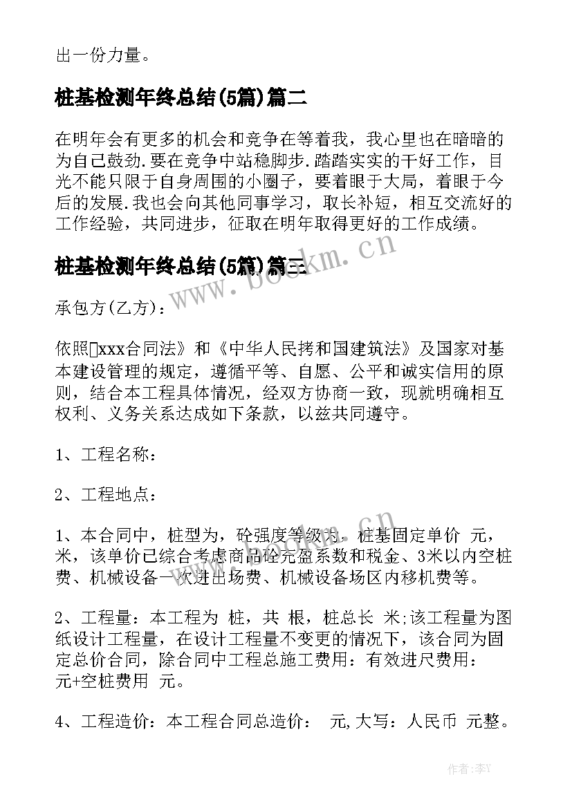 桩基检测年终总结(5篇)