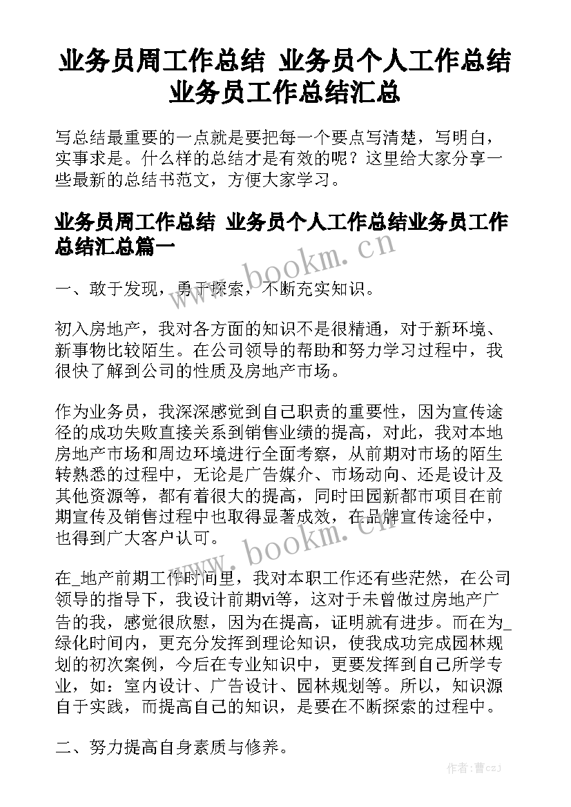 业务员周工作总结 业务员个人工作总结业务员工作总结汇总