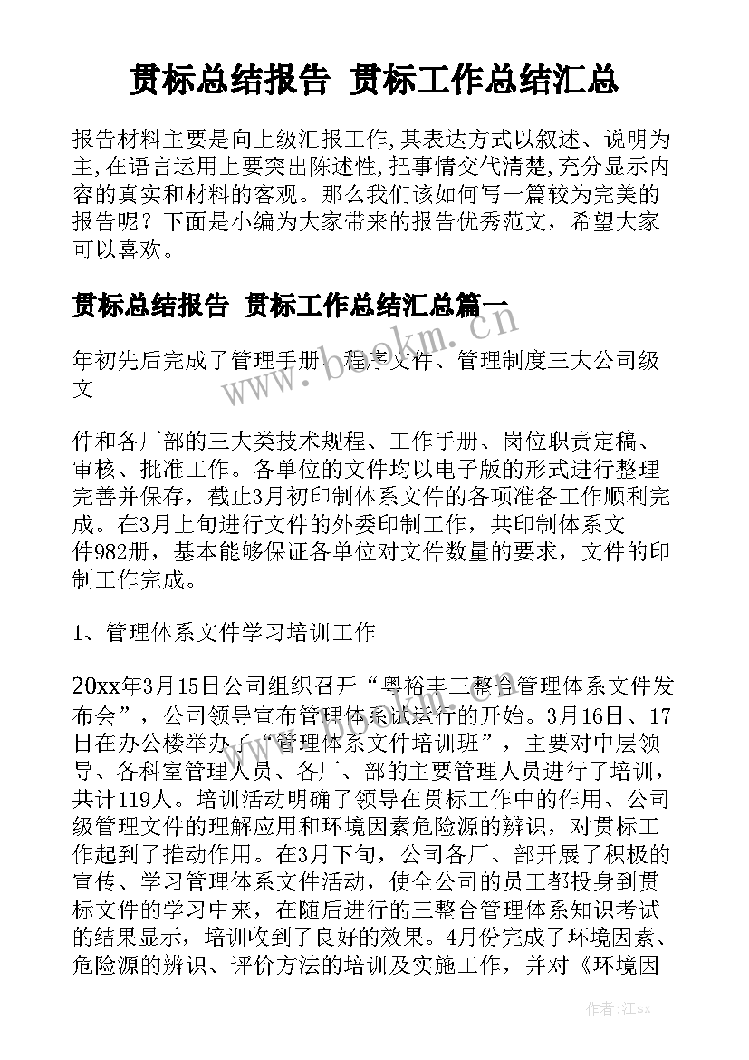 贯标总结报告 贯标工作总结汇总