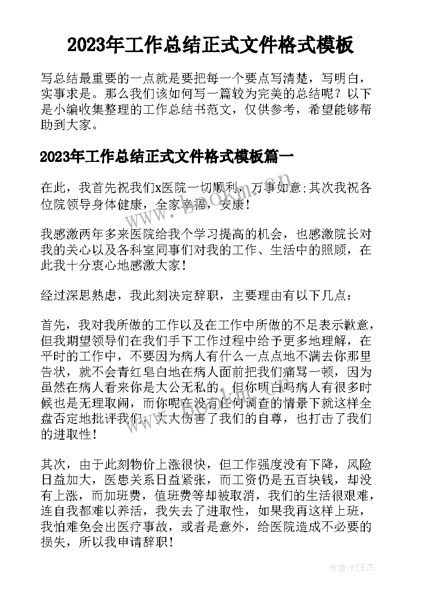 2023年工作总结正式文件格式模板