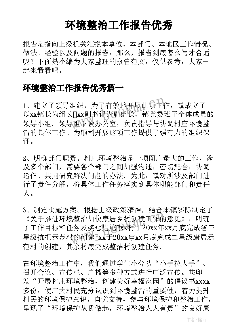 环境整治工作报告优秀