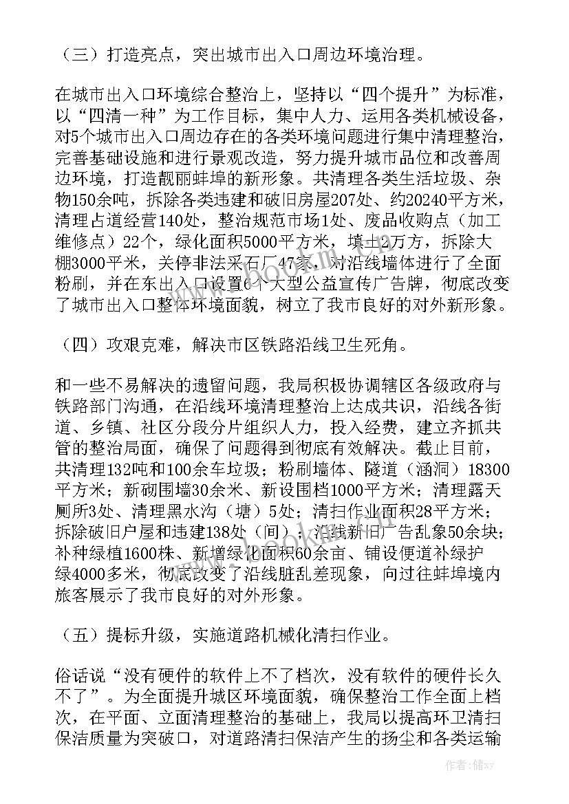 环境整治工作报告优秀