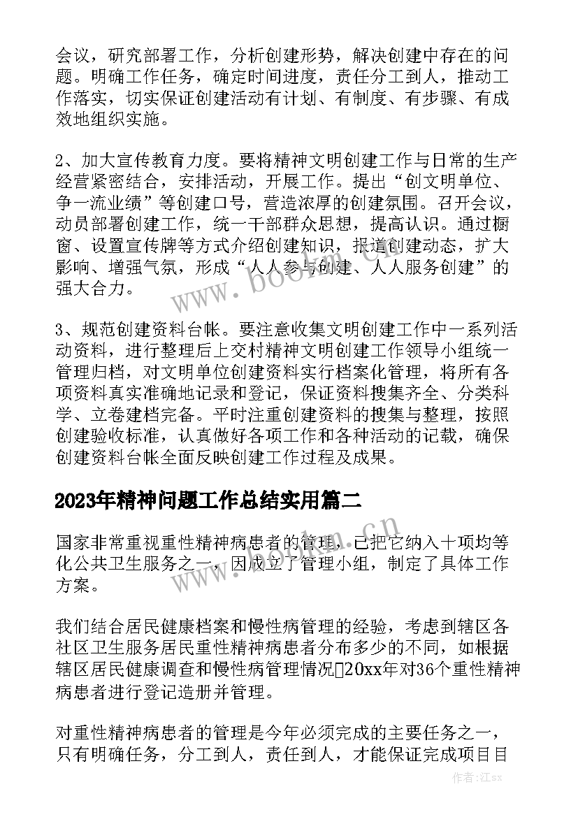 2023年精神问题工作总结实用