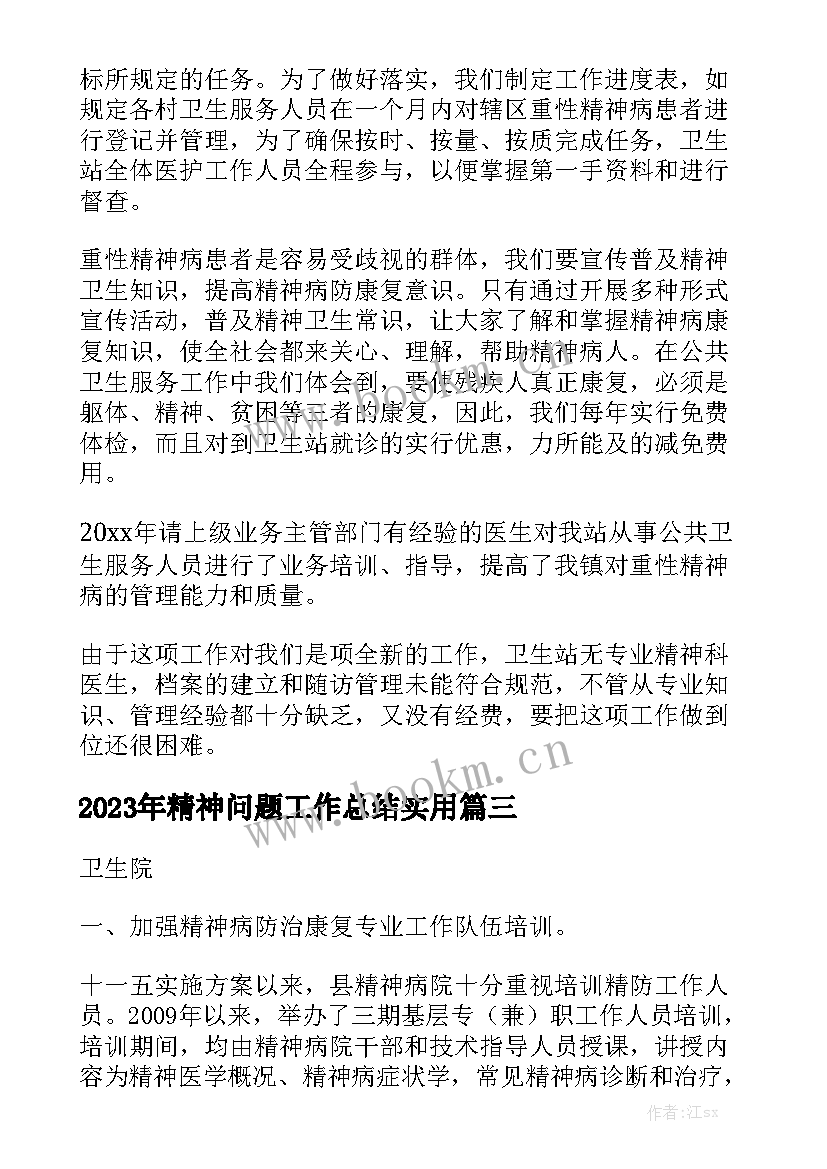 2023年精神问题工作总结实用