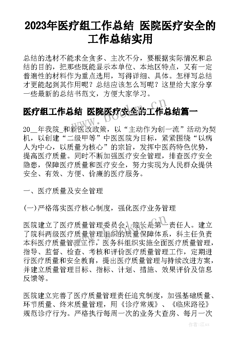 2023年医疗组工作总结 医院医疗安全的工作总结实用