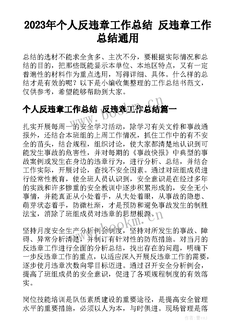 2023年个人反违章工作总结 反违章工作总结通用