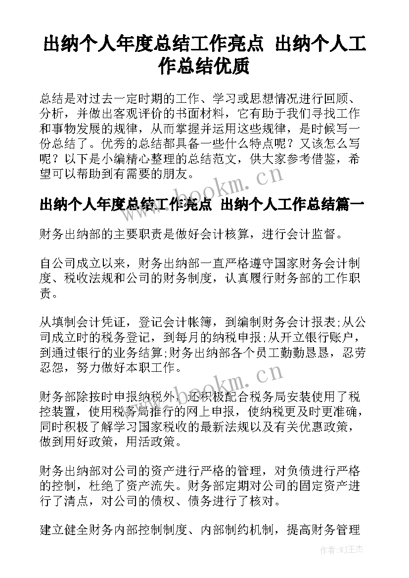 出纳个人年度总结工作亮点 出纳个人工作总结优质