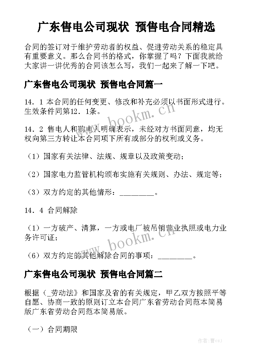 广东售电公司现状 预售电合同精选