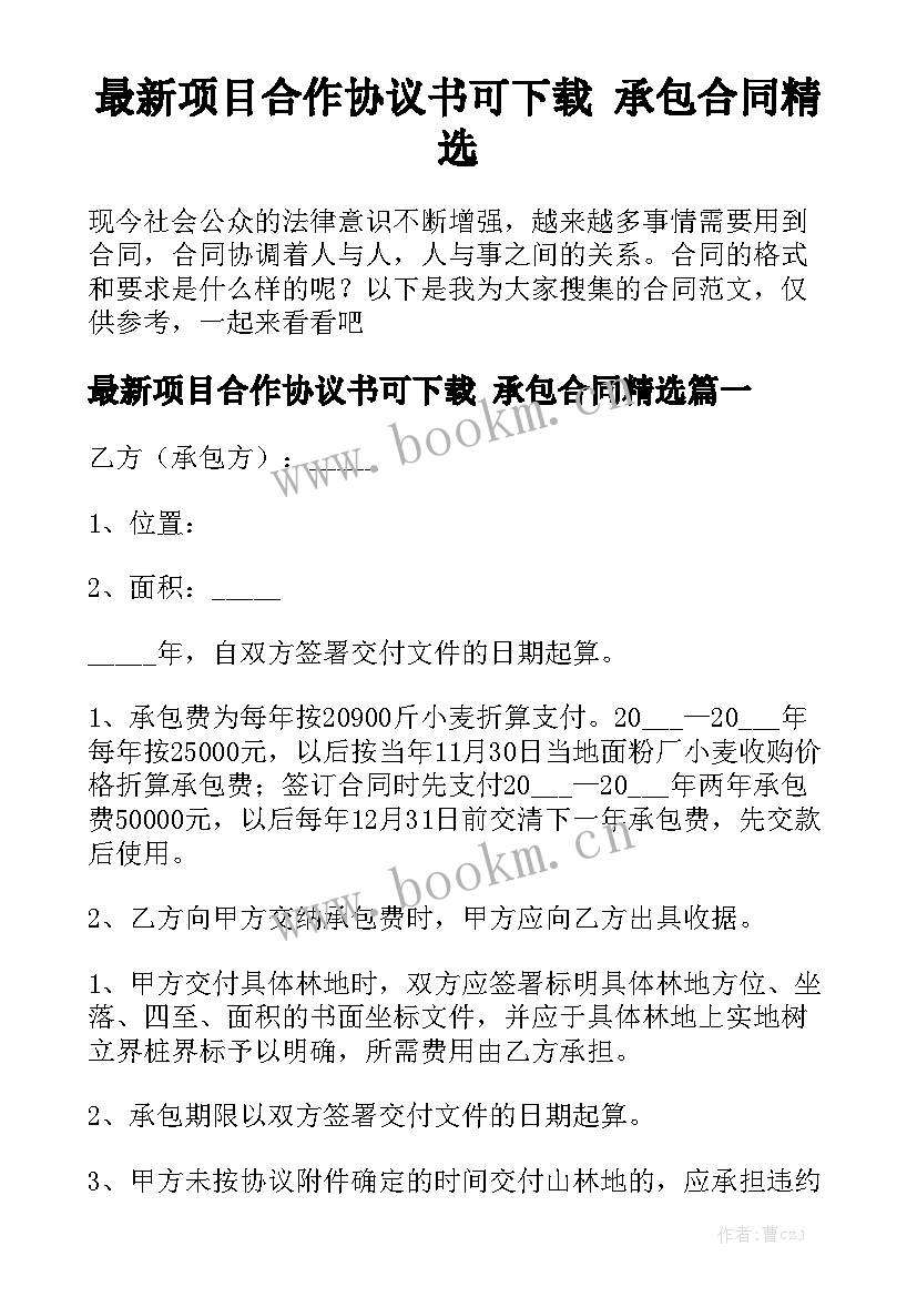 最新项目合作协议书可下载 承包合同精选