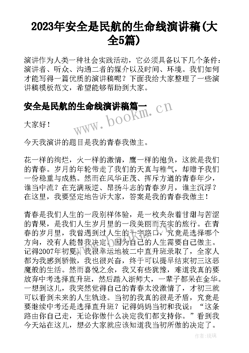 2023年安全是民航的生命线演讲稿(大全5篇)