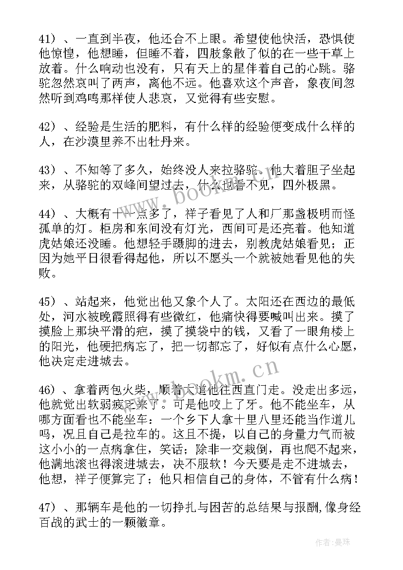 最新骆驼祥子情节演讲稿 骆驼祥子摘抄(优秀10篇)