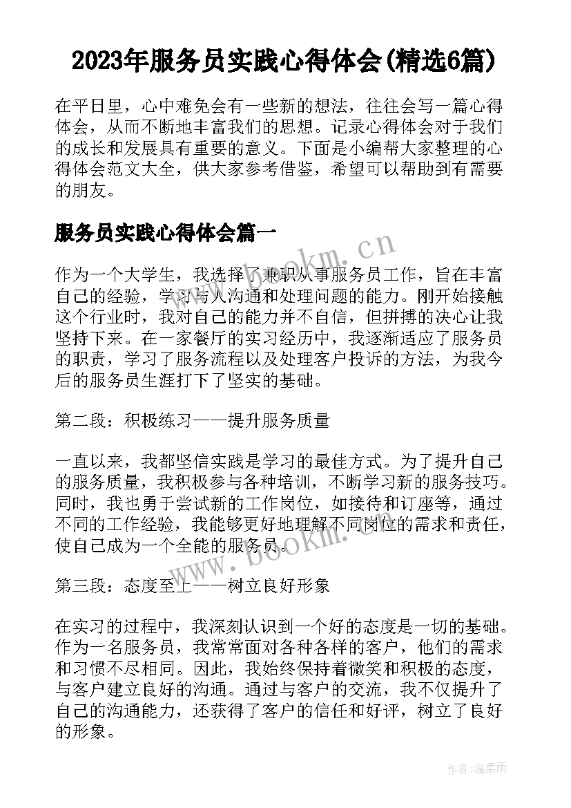 2023年服务员实践心得体会(精选6篇)