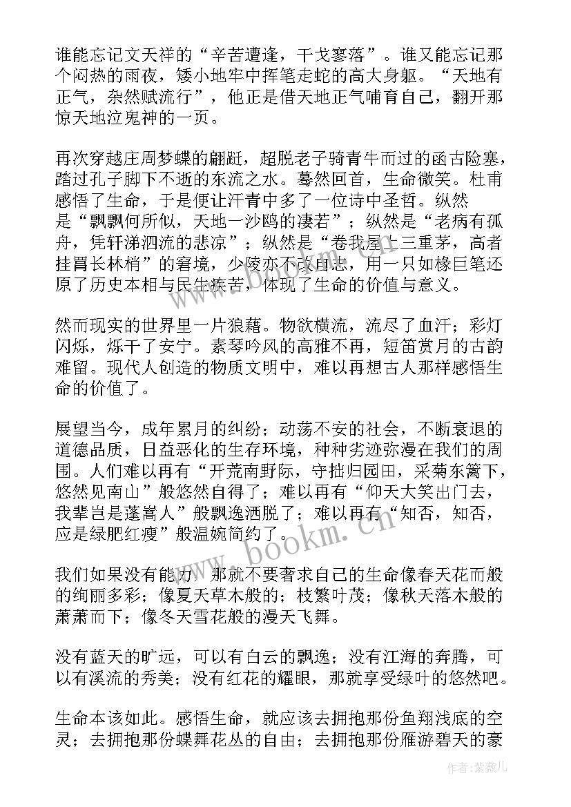 最新生命感悟演讲稿(通用7篇)