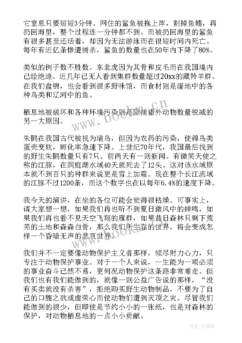 最新动物演讲稿(优质8篇)