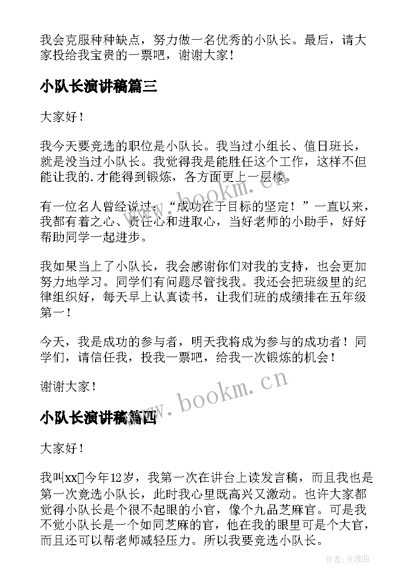 2023年小队长演讲稿 小队长竞选演讲稿(精选9篇)