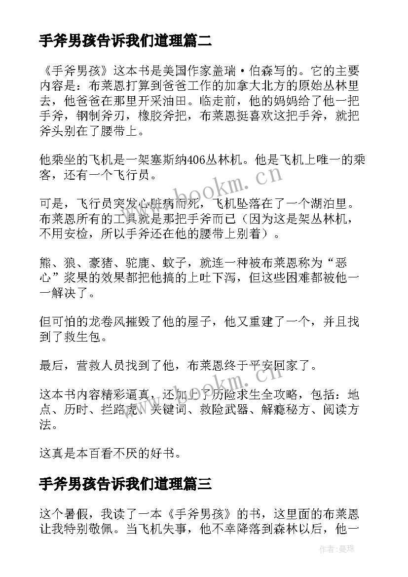 最新手斧男孩告诉我们道理 手斧男孩读后感(大全5篇)