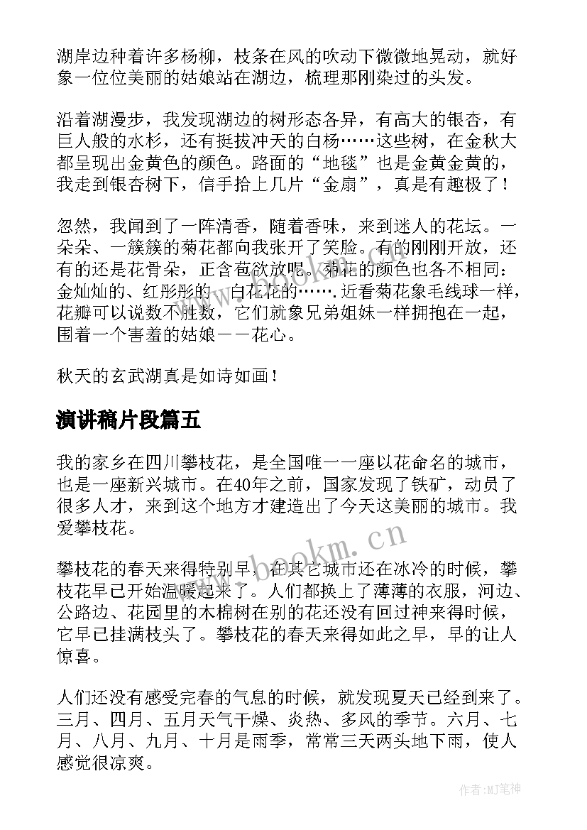 2023年演讲稿片段(模板10篇)