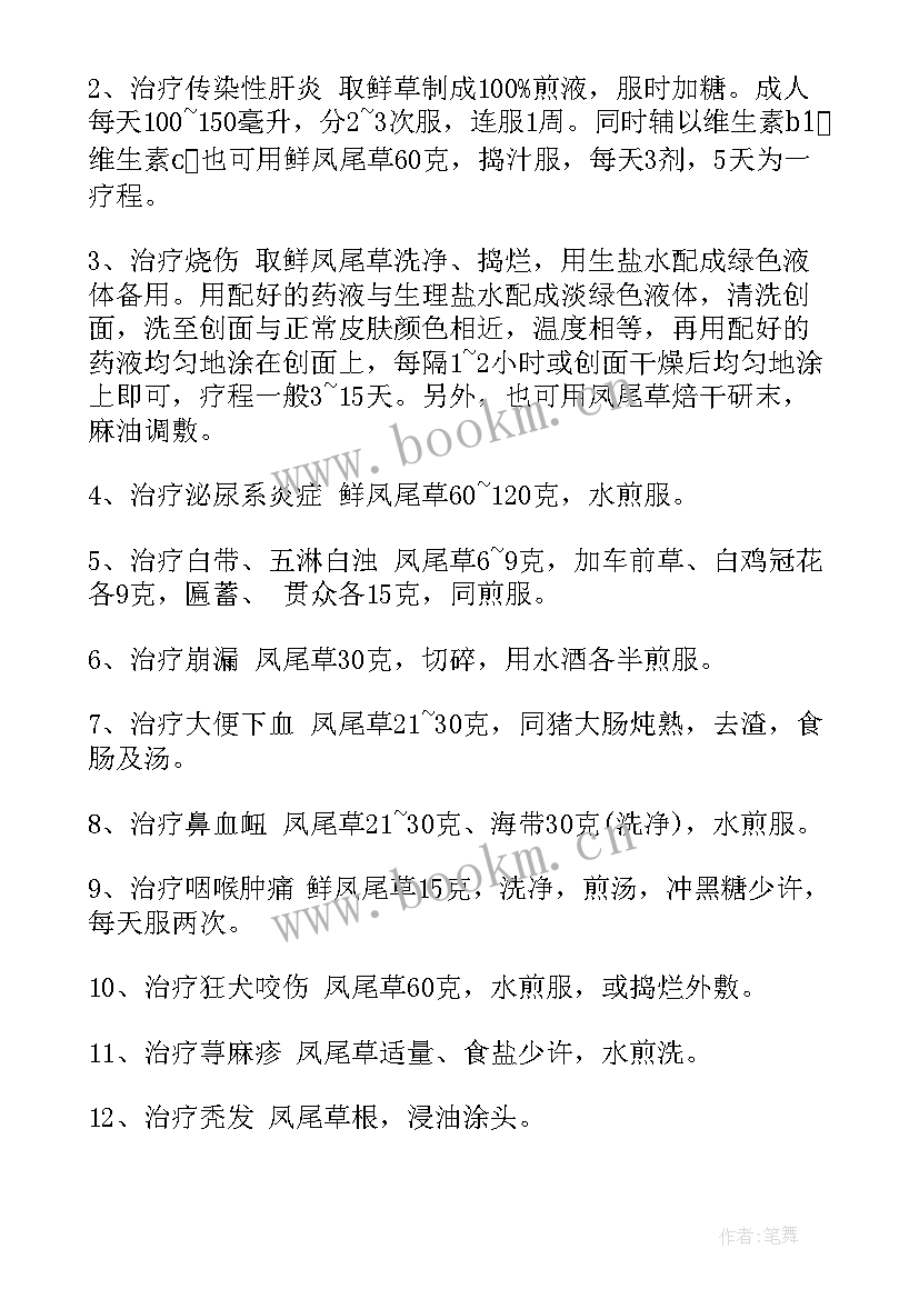 仙人棒三年级 理想演讲稿演讲稿(汇总8篇)