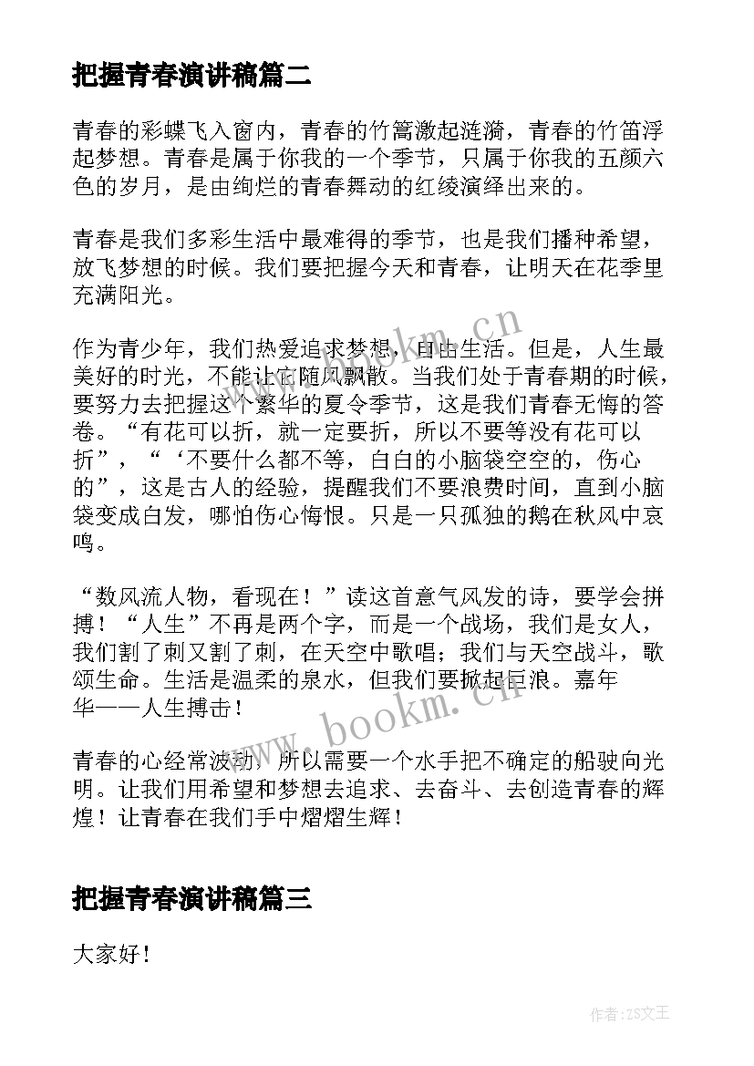 2023年把握青春演讲稿(精选9篇)