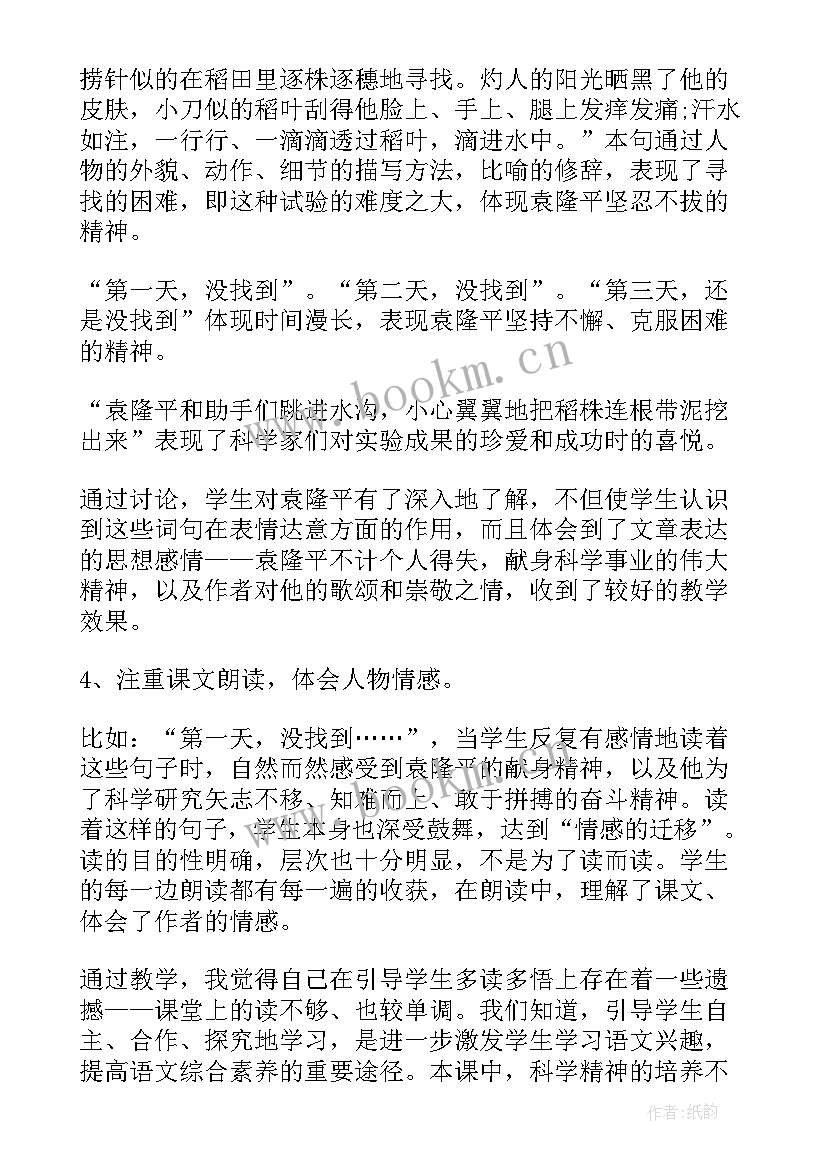 水稻之父袁隆平演讲稿(通用5篇)