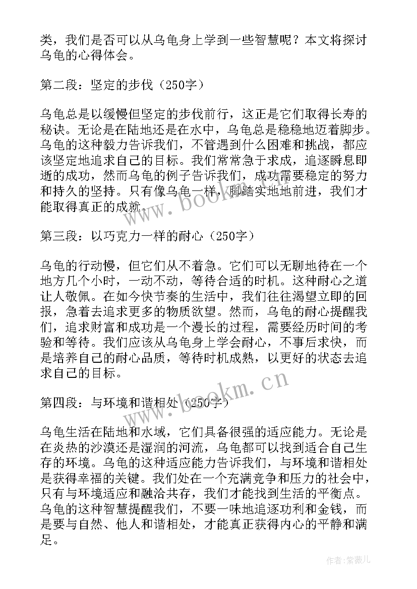 2023年林清玄巴西来的乌龟心得体会(通用8篇)