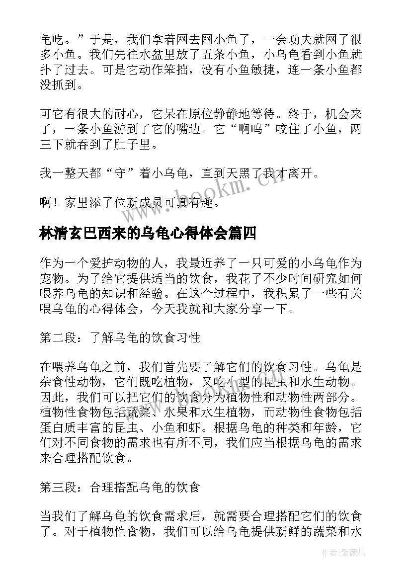 2023年林清玄巴西来的乌龟心得体会(通用8篇)