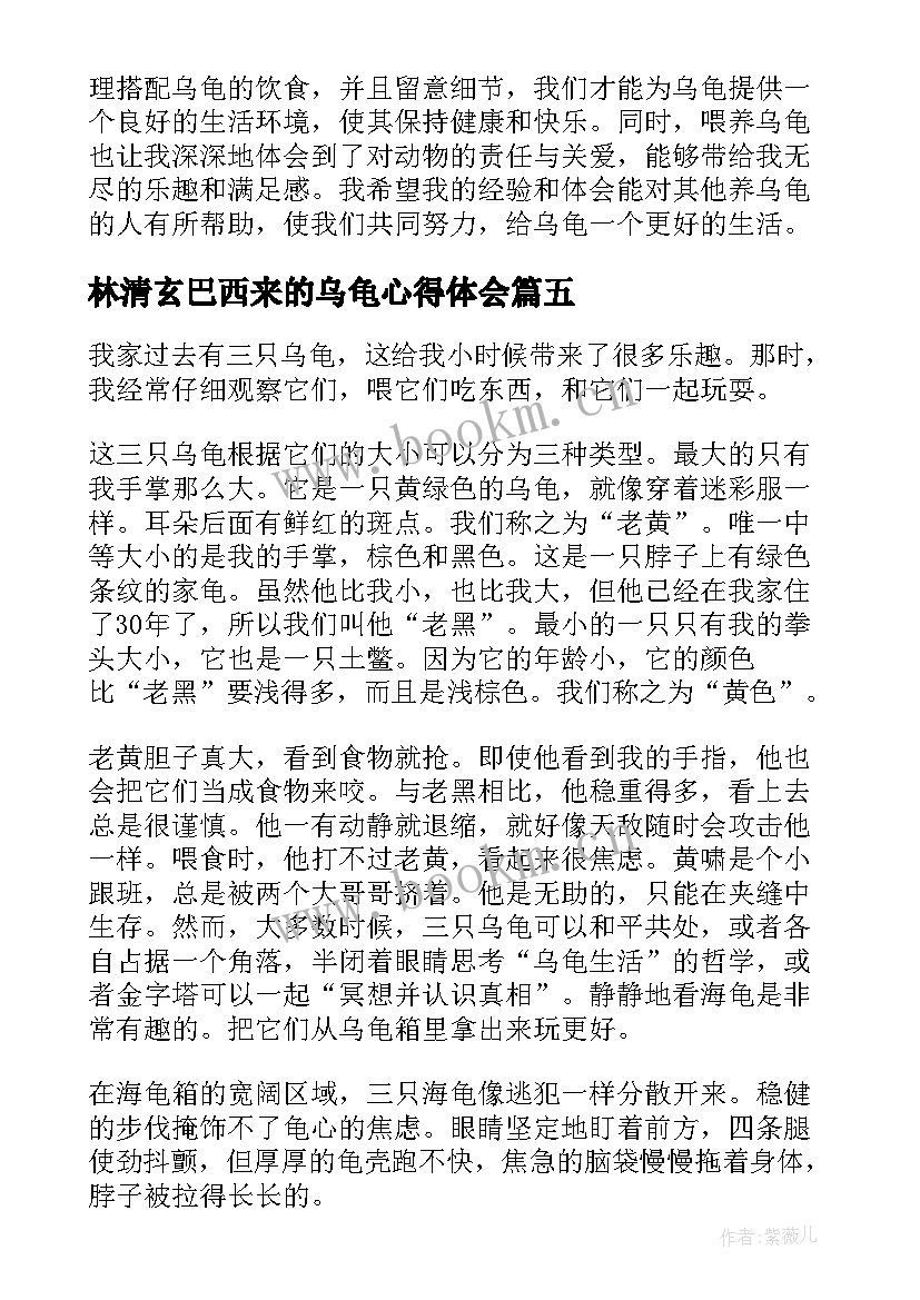 2023年林清玄巴西来的乌龟心得体会(通用8篇)