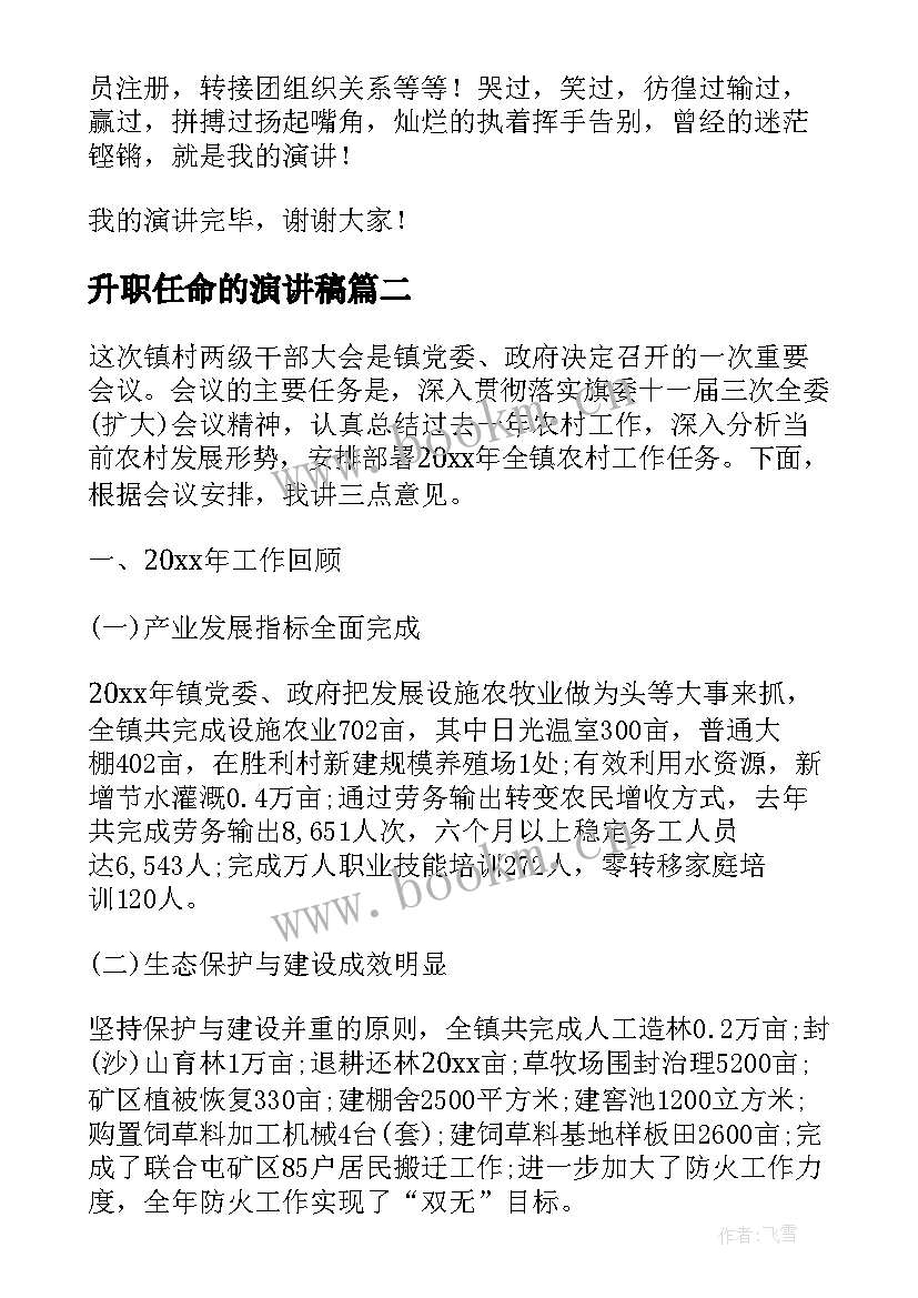 2023年升职任命的演讲稿(汇总7篇)