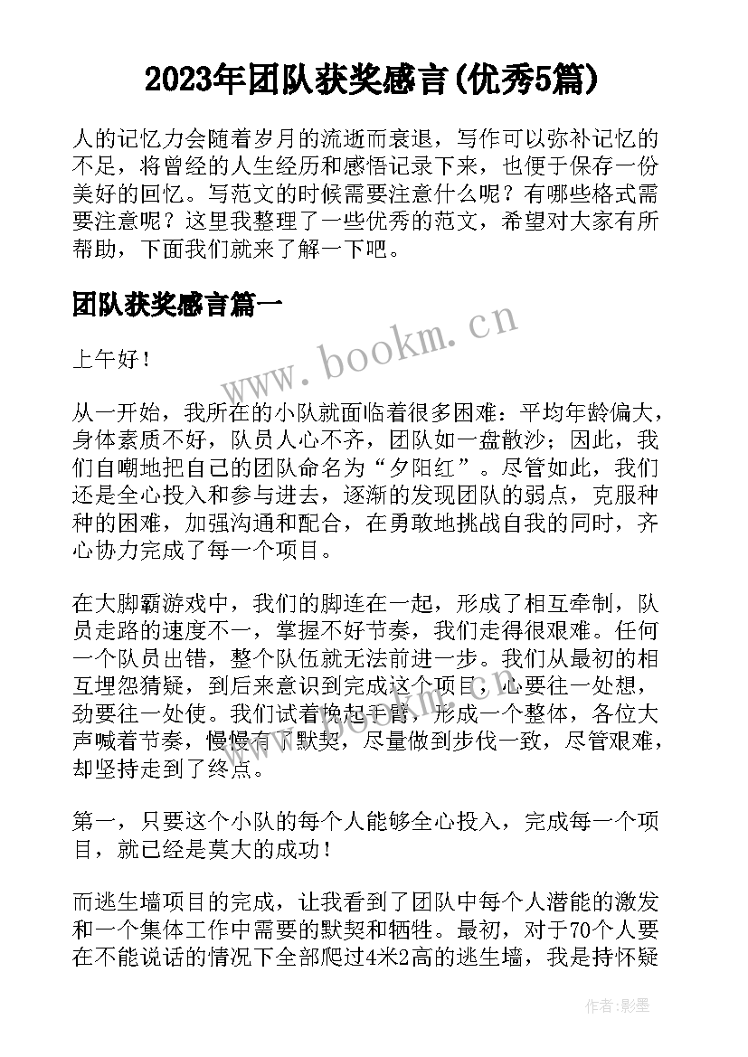 2023年团队获奖感言(优秀5篇)