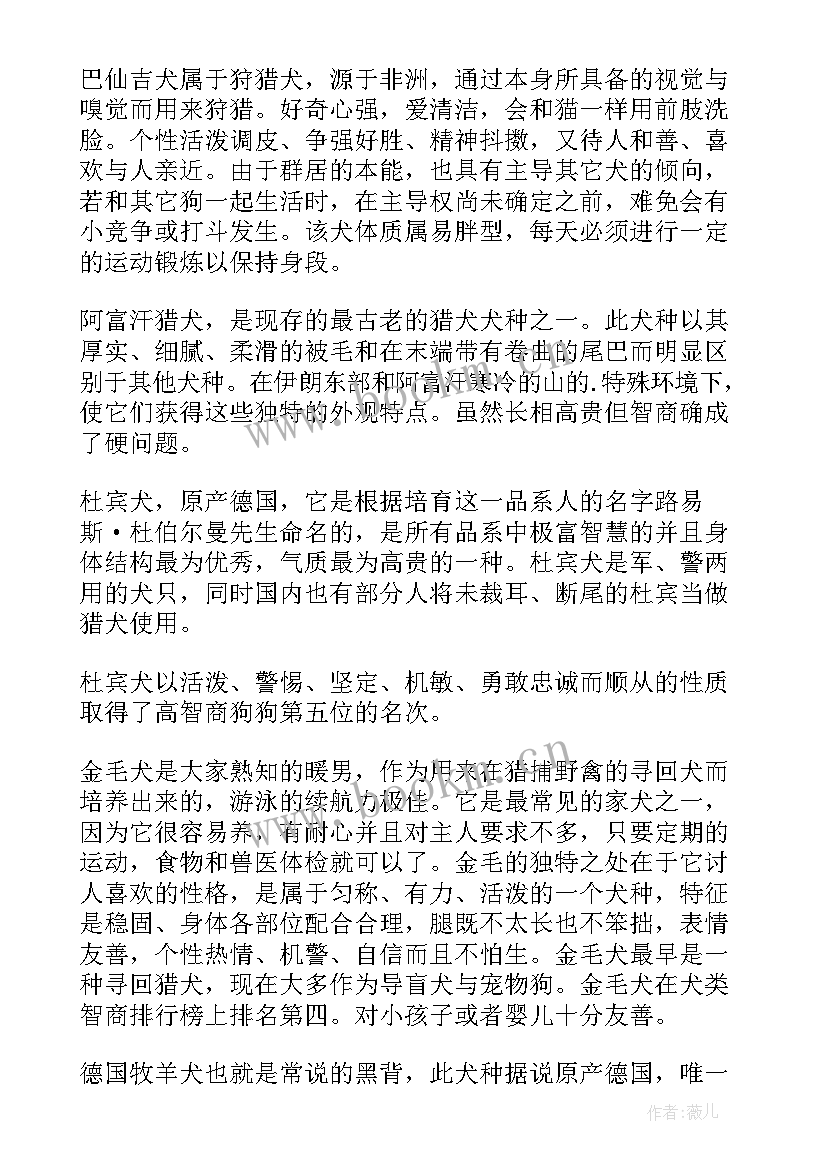 2023年提高智商的演讲稿 演讲稿和发言稿演讲稿国土演讲稿(通用8篇)