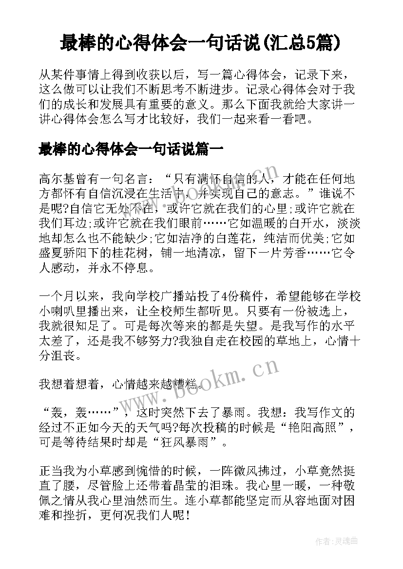 最棒的心得体会一句话说(汇总5篇)