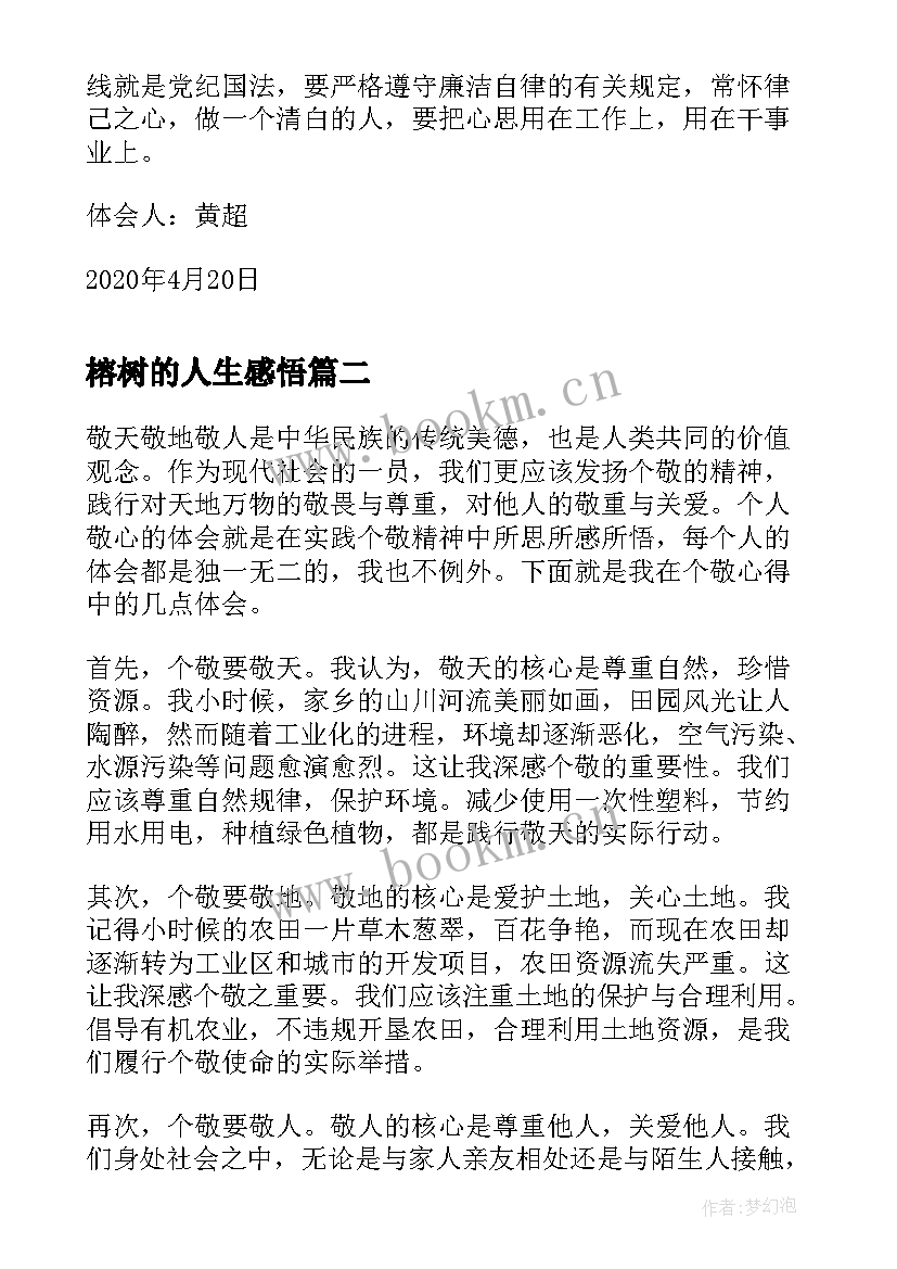 2023年榕树的人生感悟(实用8篇)