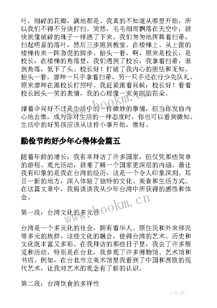 2023年勤俭节约好少年心得体会(精选9篇)