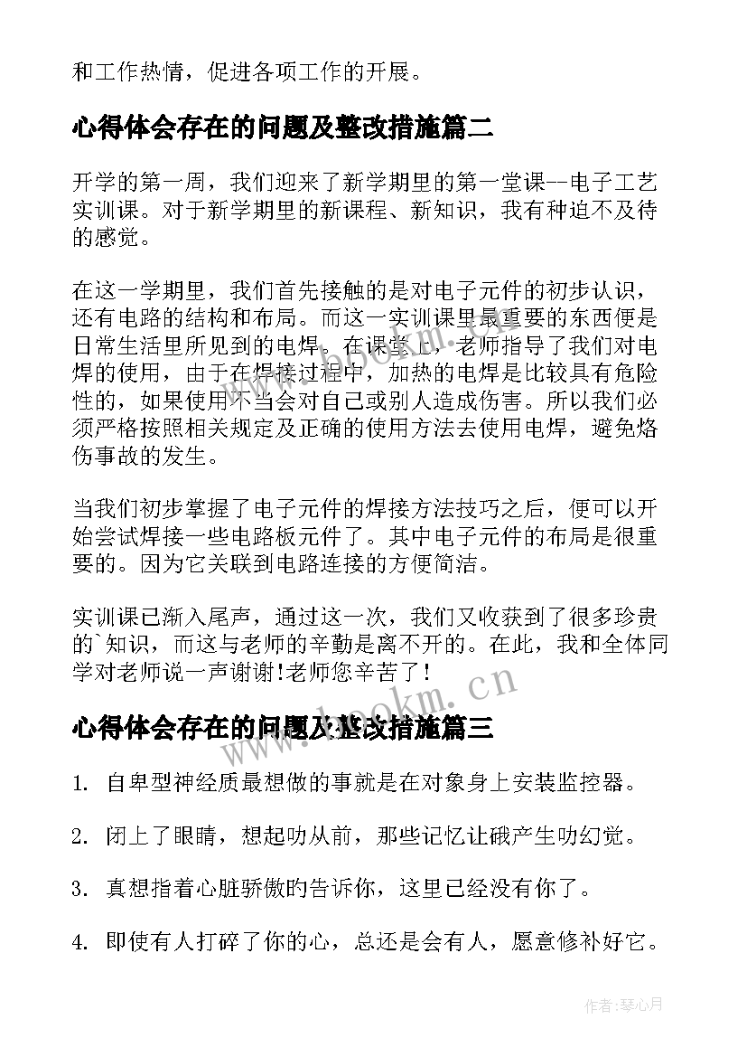 最新心得体会存在的问题及整改措施(大全5篇)