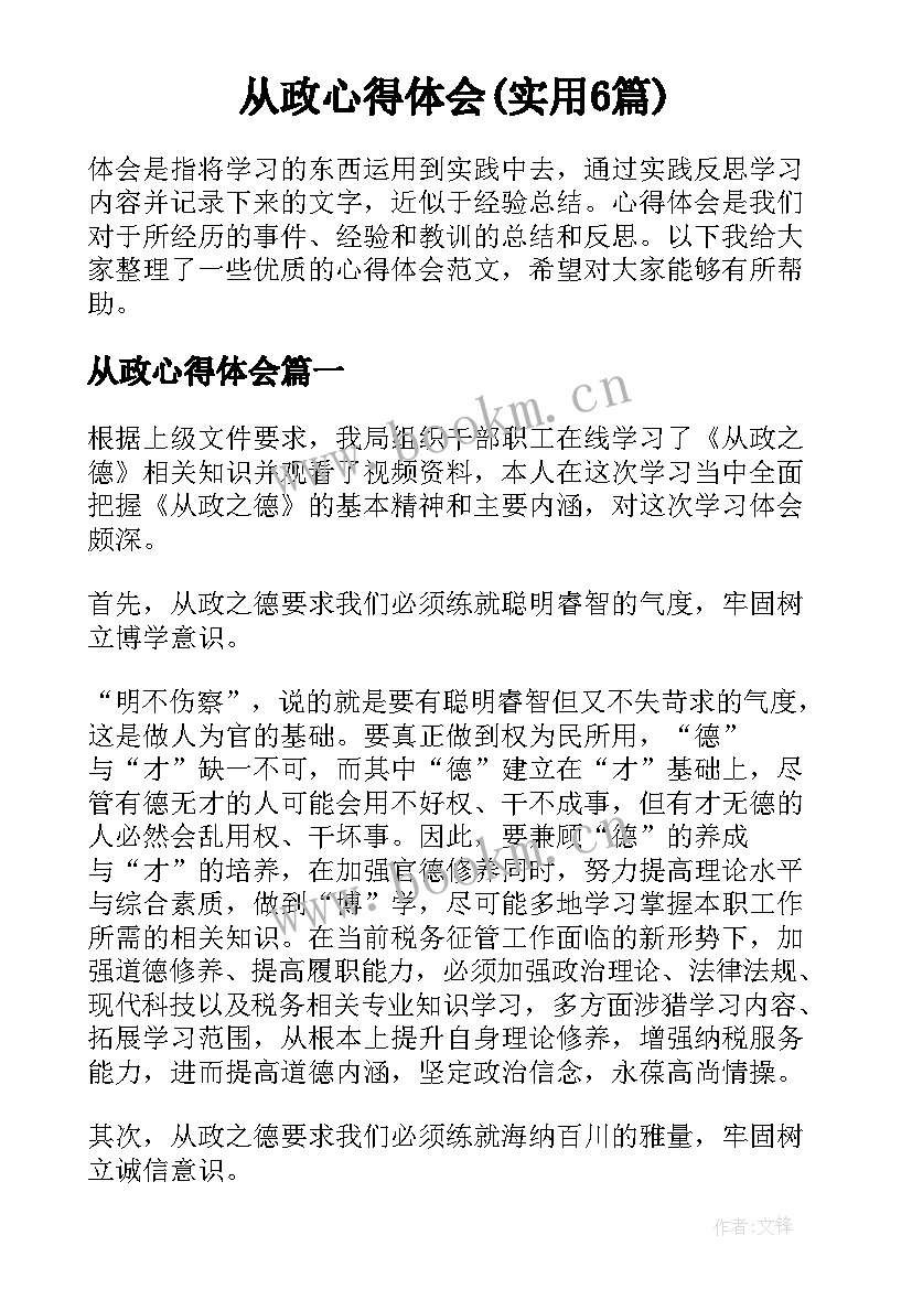 从政心得体会(实用6篇)