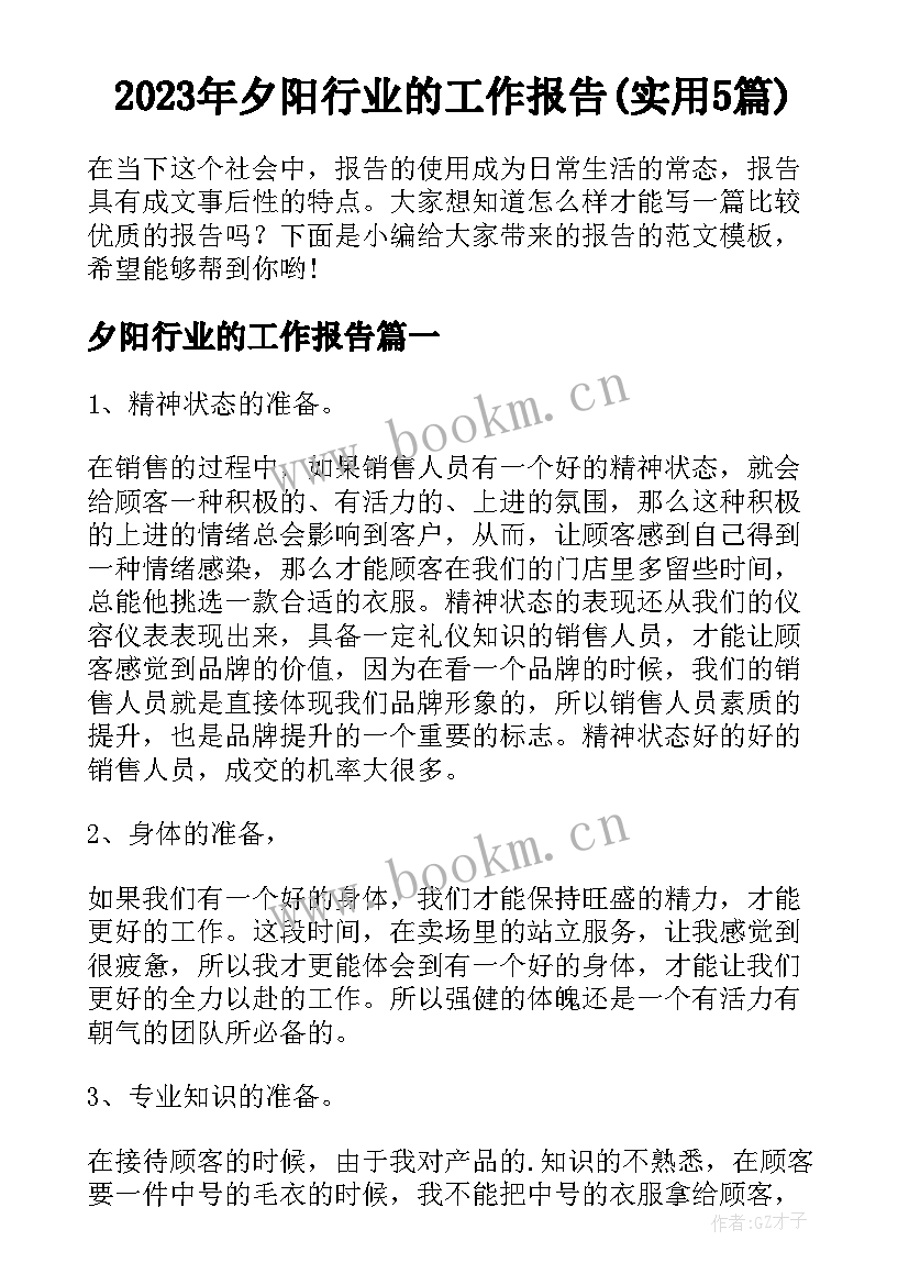 2023年夕阳行业的工作报告(实用5篇)